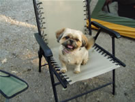 Cappi in chair
